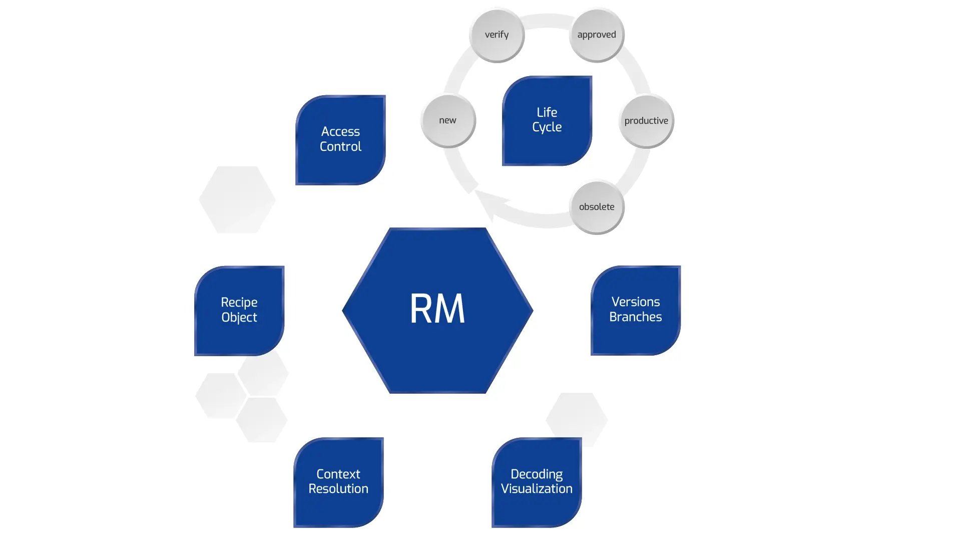 camLine_RM_Centralized RM_202510_Internal