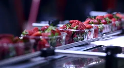 food_industry-3